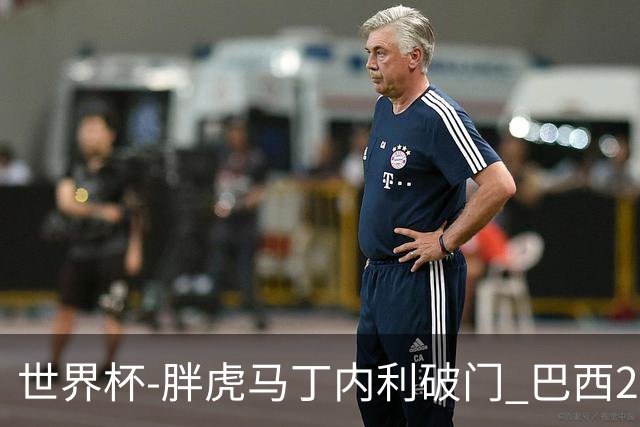 世界杯-胖虎马丁内利破门 巴西2-1逆转读秒绝杀日本