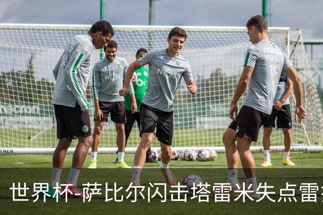世界杯-萨比尔闪击塔雷米失点雷扎伊扬扳平 半场埃及1-1伊朗