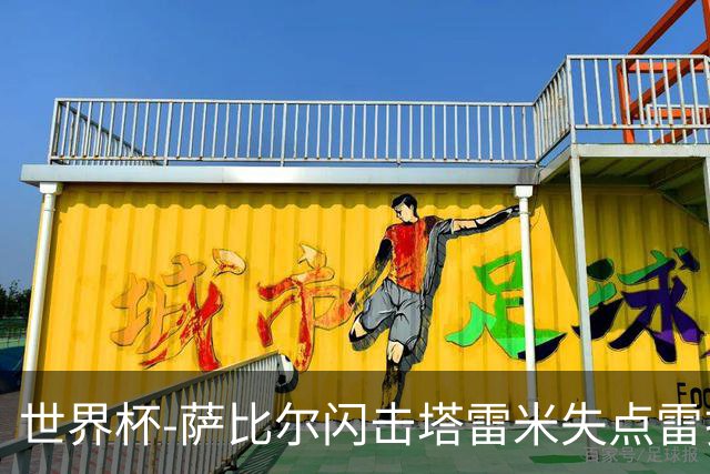 世界杯-萨比尔闪击塔雷米失点雷扎伊扬扳平 半场埃及1-1伊朗